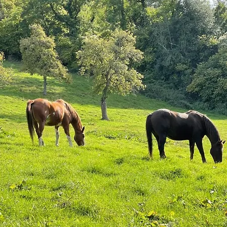 - Domaine De Geffosse Pont-l'Eveque (Calvados)