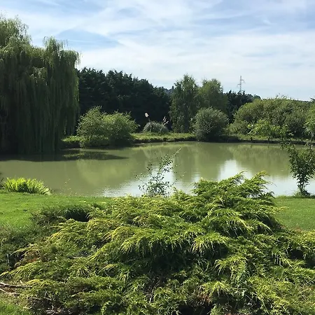 - Domaine De Geffosse Feriehus *